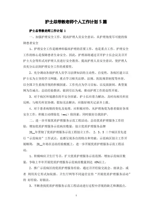 护士总带教老师个人工作计划5篇