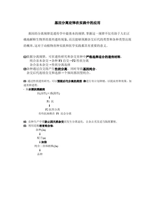 基因分离定律在实践中的应用