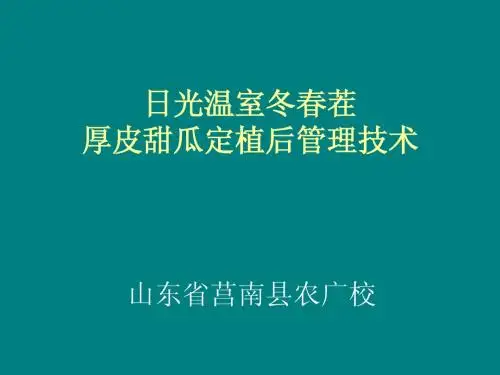 设施园艺(日光温室冬春茬甜瓜栽培技术)