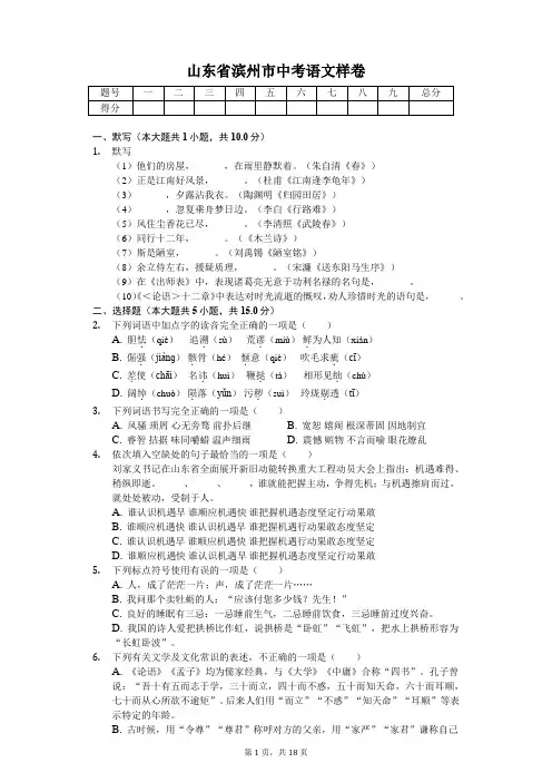 山东专版 滨州市中考语文样卷 附答案