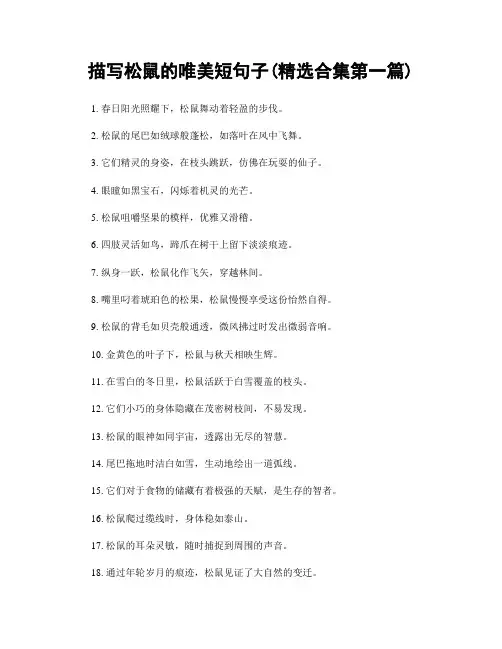 描写松鼠的唯美短句子(精选合集两篇)