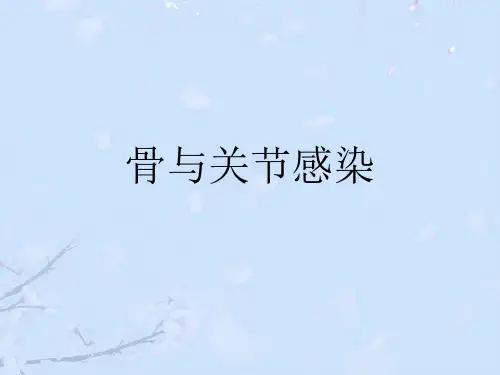 骨与关节感染.完整版ppt