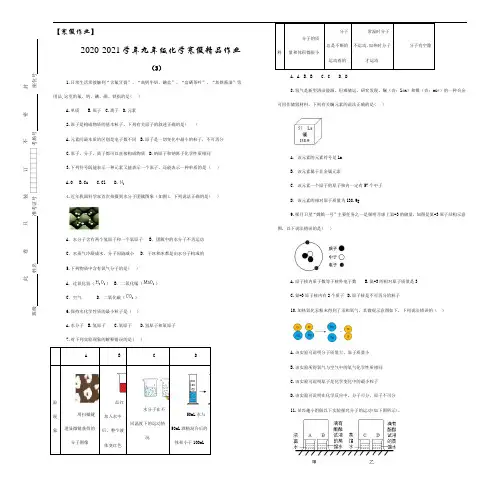 【寒假作业】2020-2021学年九年级化学寒假精品作业(3)