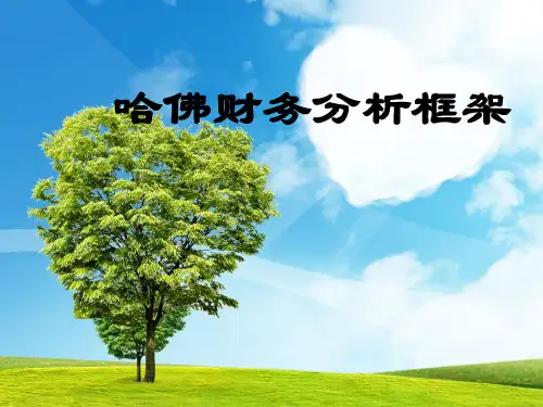 哈佛分析框架分析.