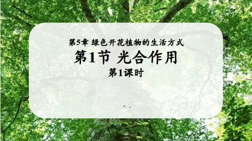 《光合作用》PPT教学课件(第1课时)