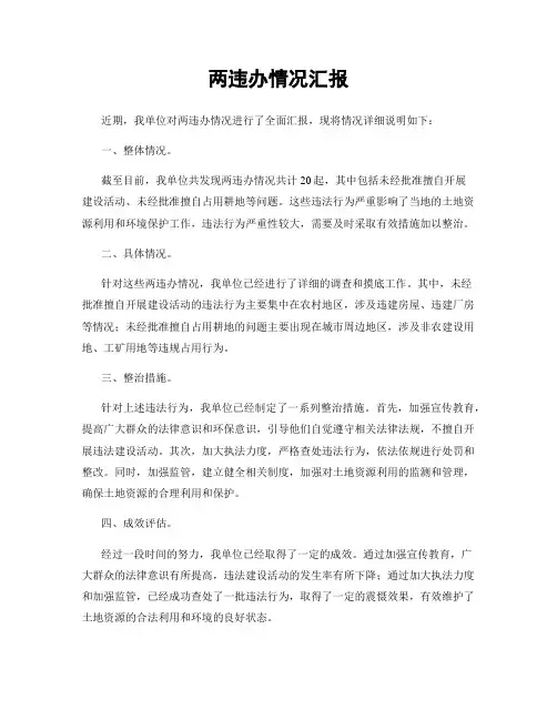 两违办情况汇报