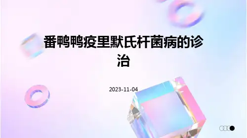 番鸭鸭疫里默氏杆菌病的诊治