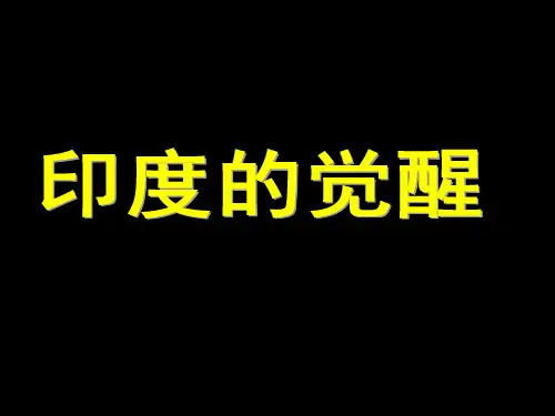 印度的觉醒(2014年)