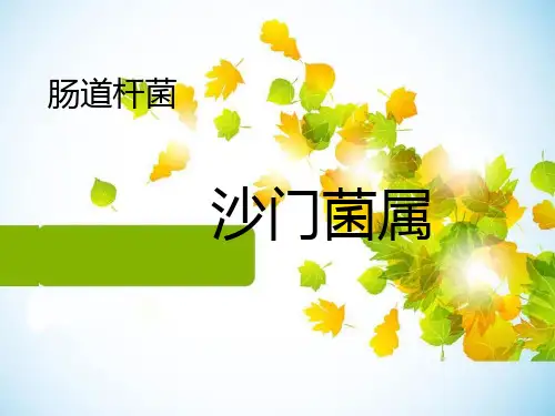 沙门菌属