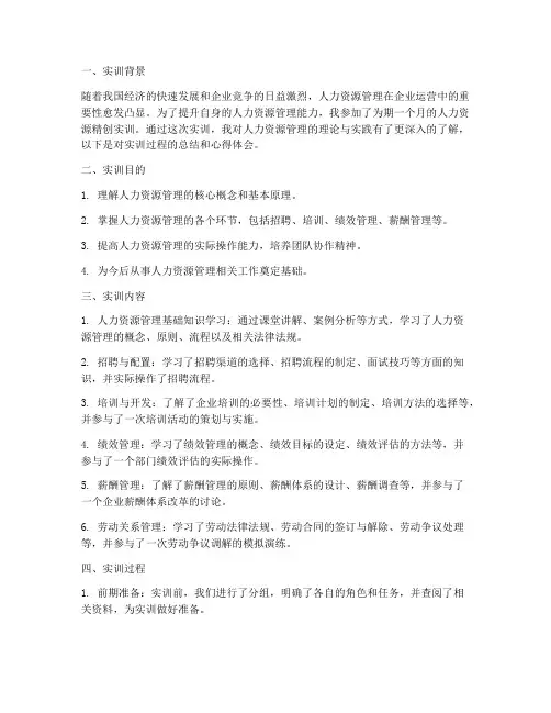 人力资源精创实训报告