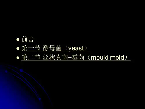 第三章真核微生物
