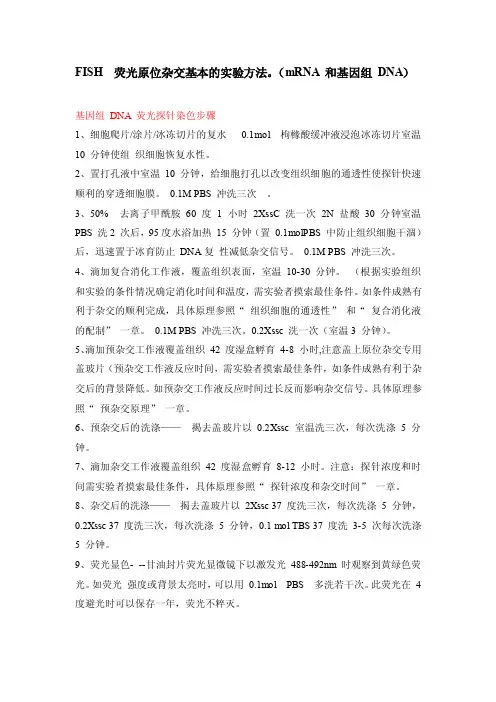 FISH操作步骤