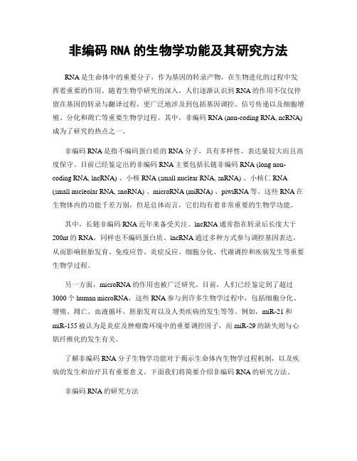 非编码RNA的生物学功能及其研究方法