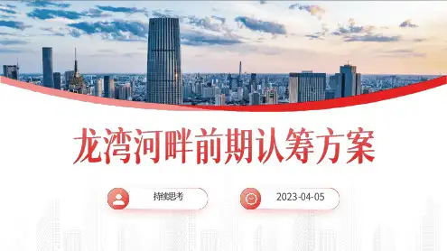2023龙湾河畔认筹活动策划案