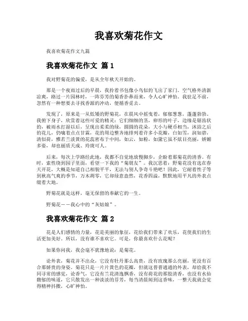 我喜欢菊花作文