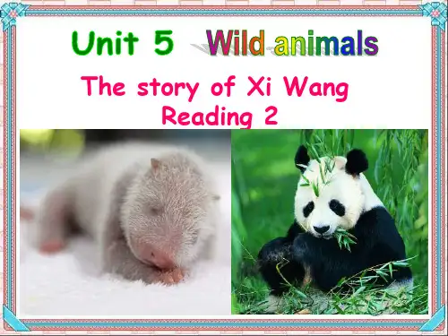 牛津译林英语八年级上册unit5Reading 2(共26张PPT)