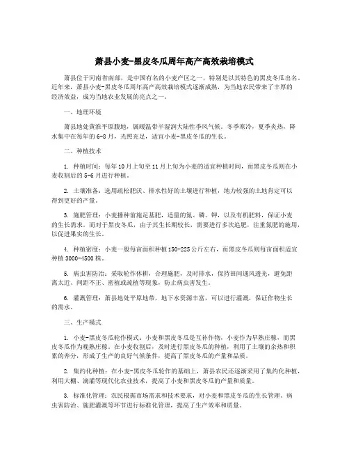 萧县小麦-黑皮冬瓜周年高产高效栽培模式