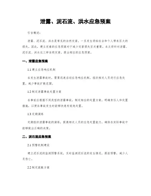 泄露、泥石流、洪水应急预案