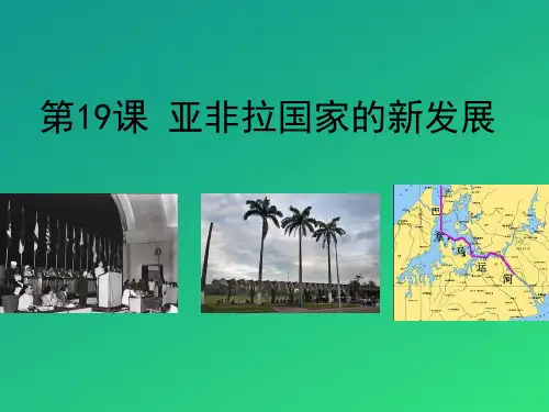 《亚非拉国家的新发展》PPT【推荐课件】