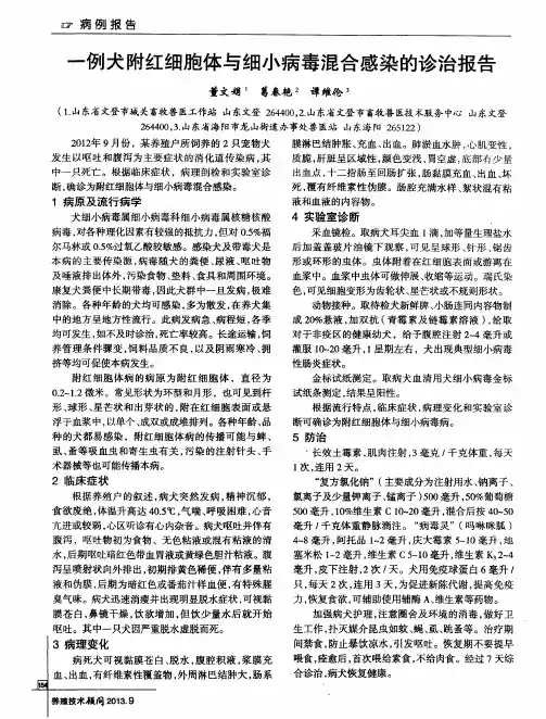 一例犬附红细胞体与细小病毒混合感染的诊治报告