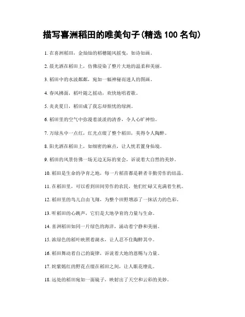 描写喜洲稻田的唯美句子(精选100句)
