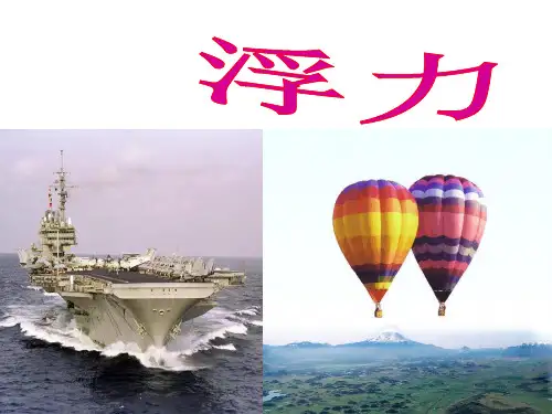 人教版物理八年级下册第十章 浮力 复习课件(共30张PPT)