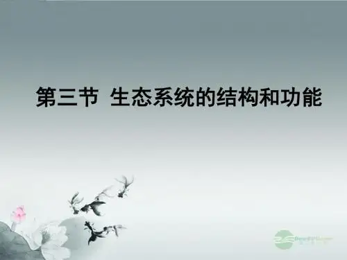 生态系统结构和功能   课件