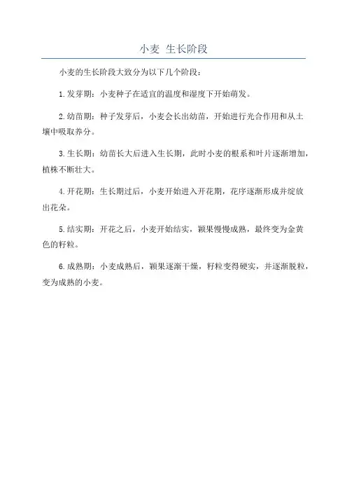 小麦 生长阶段