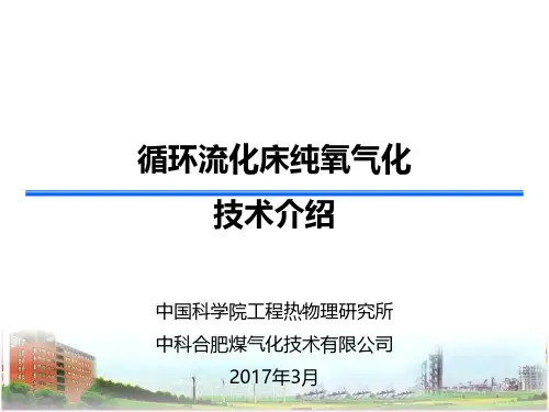 循环流化床纯氧气化技术介绍