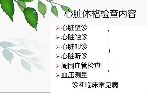 心脏体格检查 (2)