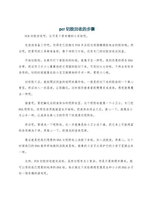 pcr切胶回收的步骤