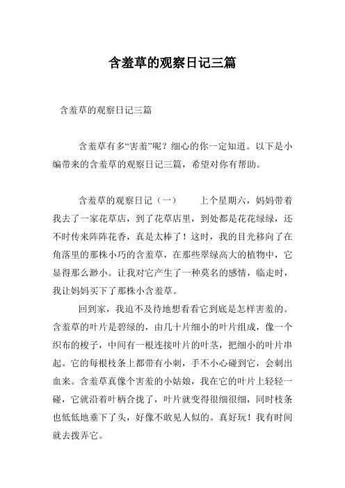 含羞草的观察日记三篇