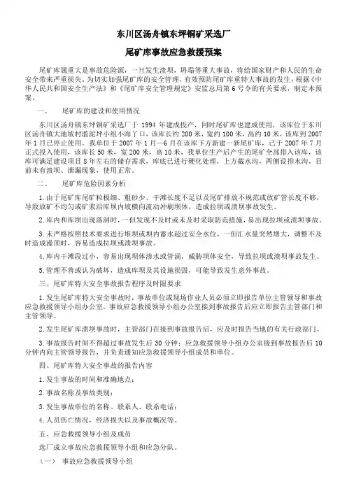 东川区汤舟镇东坪铜矿采选厂