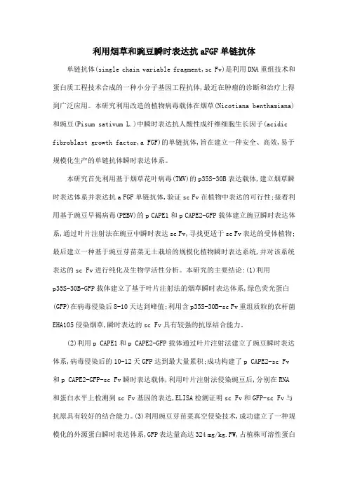 利用烟草和豌豆瞬时表达抗aFGF单链抗体