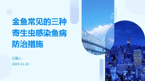 金鱼常见的三种寄生虫感染鱼病防治措施