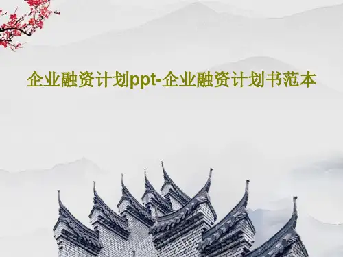 企业融资计划ppt-企业融资计划书范本52页PPT