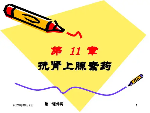 药理学-抗肾上腺素药PPT课件