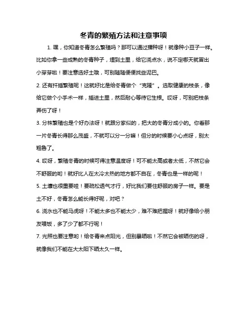 冬青的繁殖方法和注意事项