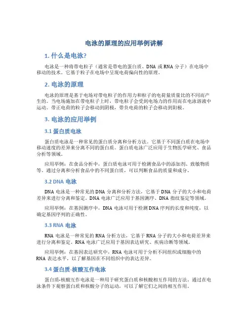电泳的原理的应用举例讲解