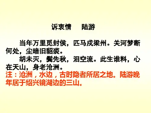 高考专题复习：诗歌鉴赏之人物形象