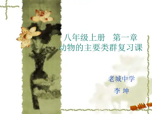 人教版初中生物八上5.1 动物的主要类群复习课 课件  (共32张PPT)