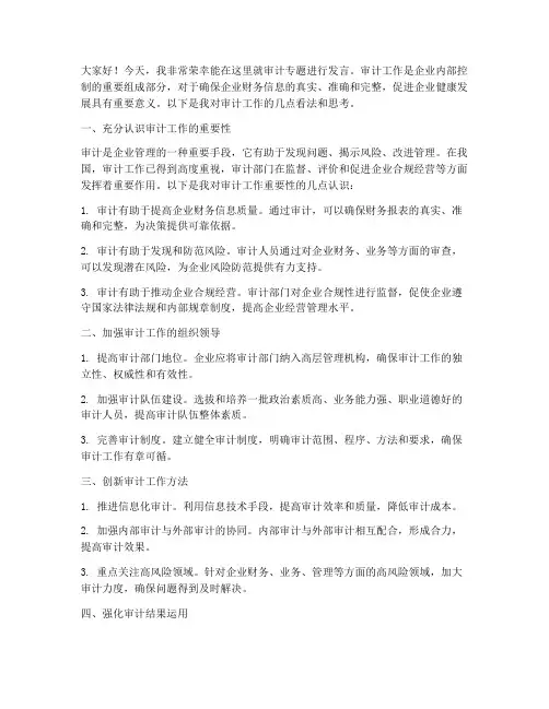 审计专题发言稿范文