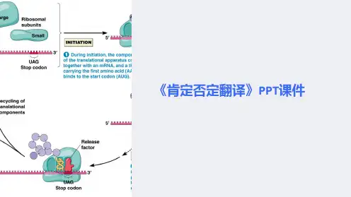 《肯定否定翻译》课件