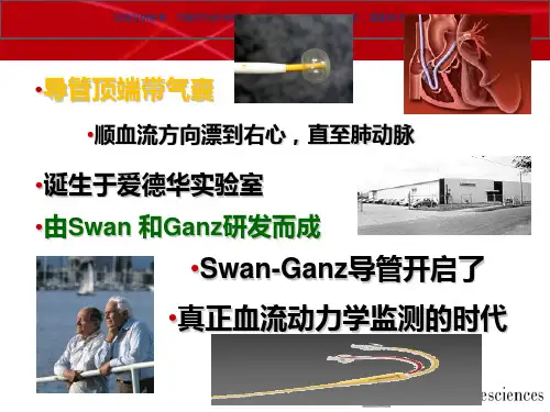 漂浮导管置管技术课件
