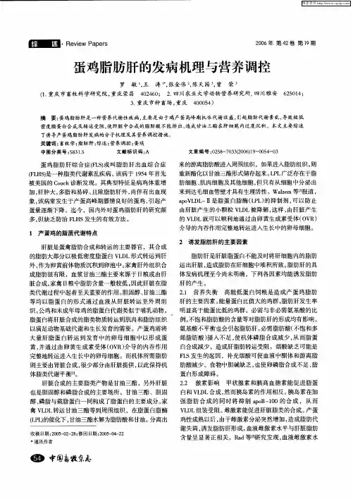 蛋鸡脂肪肝的发病机理与营养调控