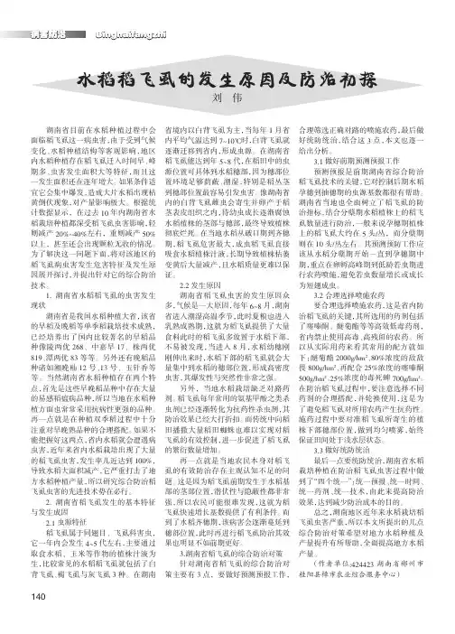水稻稻飞虱的发生原因及防治初探
