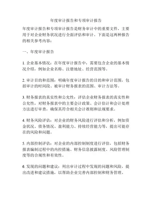 年度审计报告和专项审计报告