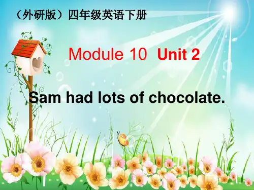 四年级下册英语课件-M10 U2 Sam had lots of chocolate.｜外研社(三起)  (7) (共35张PPT)