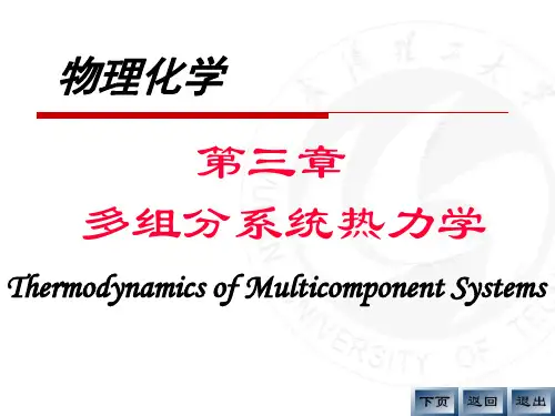 04多组分体系热力学