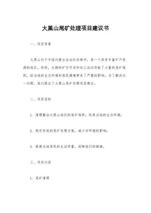 大黑山尾矿处理项目建议书